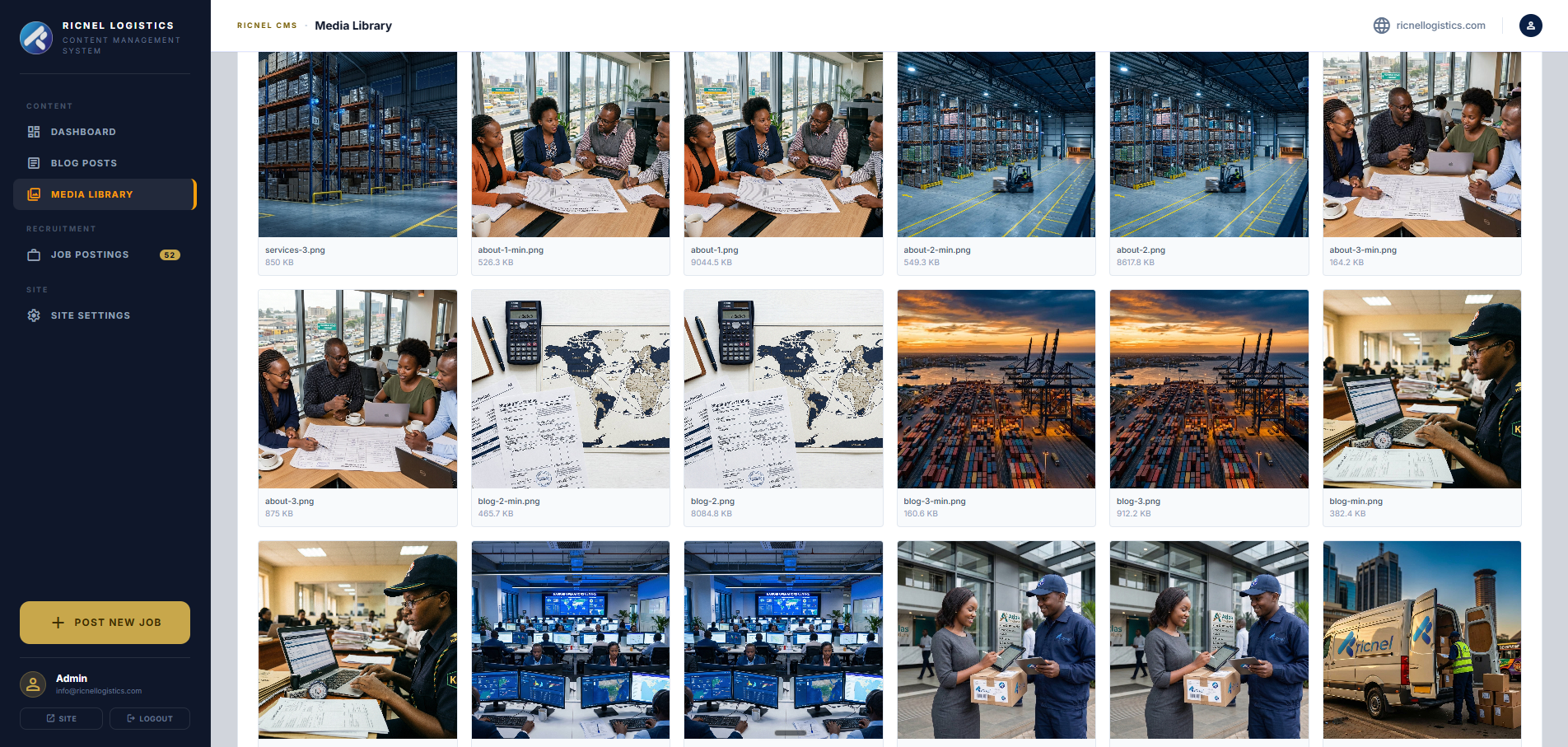 Ricnel Logistics - Brand Identity and Financial Backbone