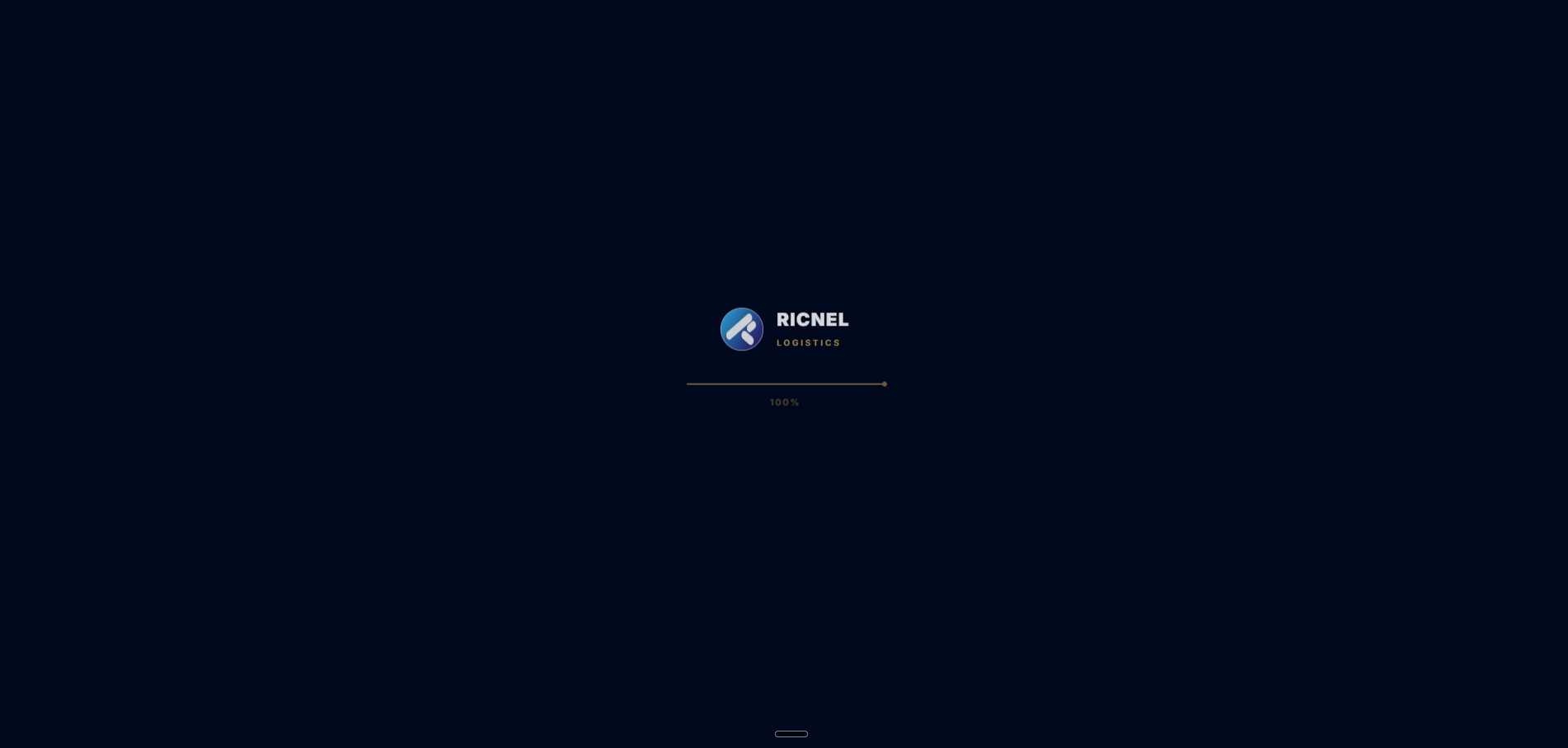 Ricnel Logistics - Brand Identity and Financial Backbone
